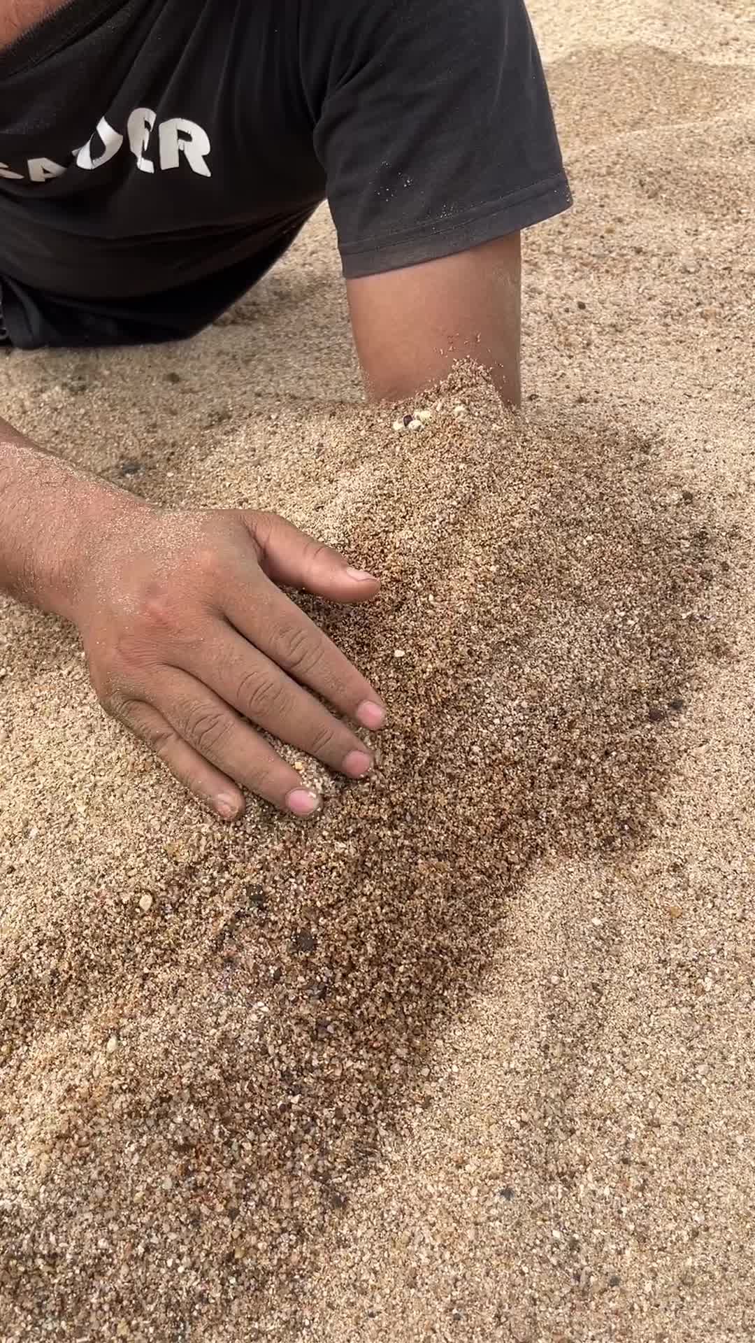 @Ticks_Los Angeles