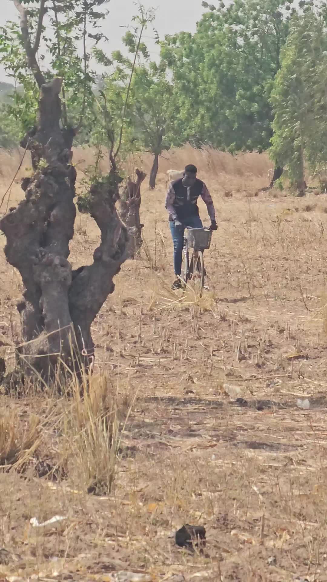 @FasoCulture🇧🇫