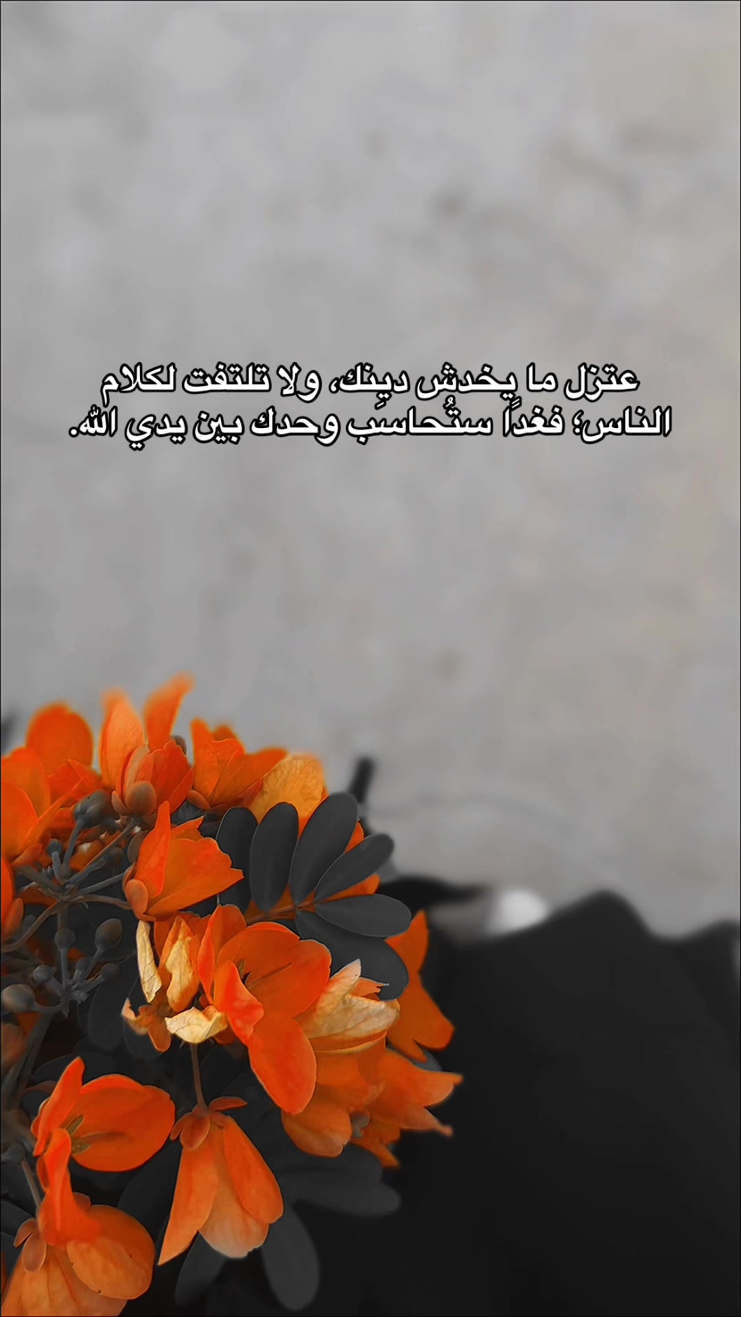 @أمنيات فاطمية 🩵🦋
