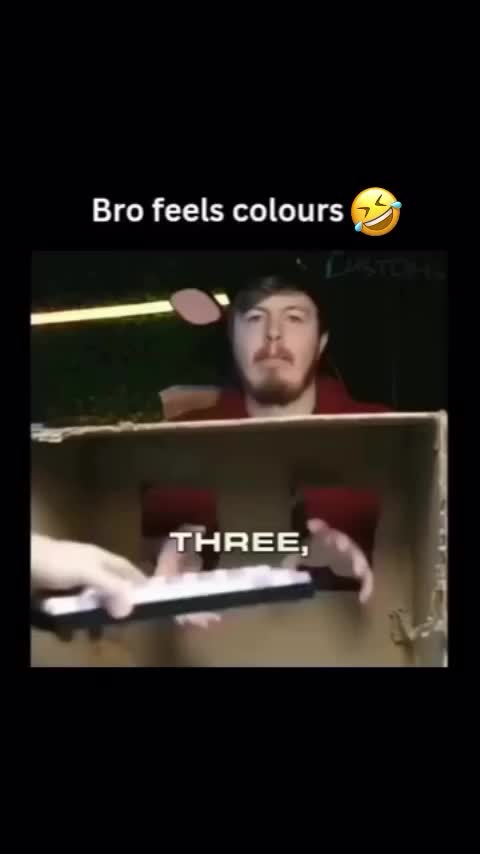 @dailyweirdness1