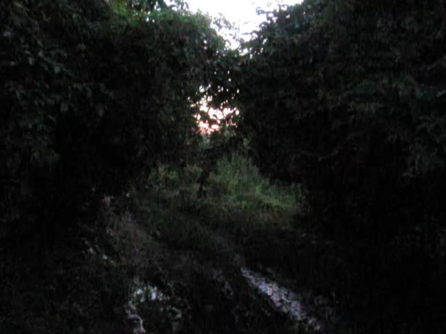 @lost in nostalgia