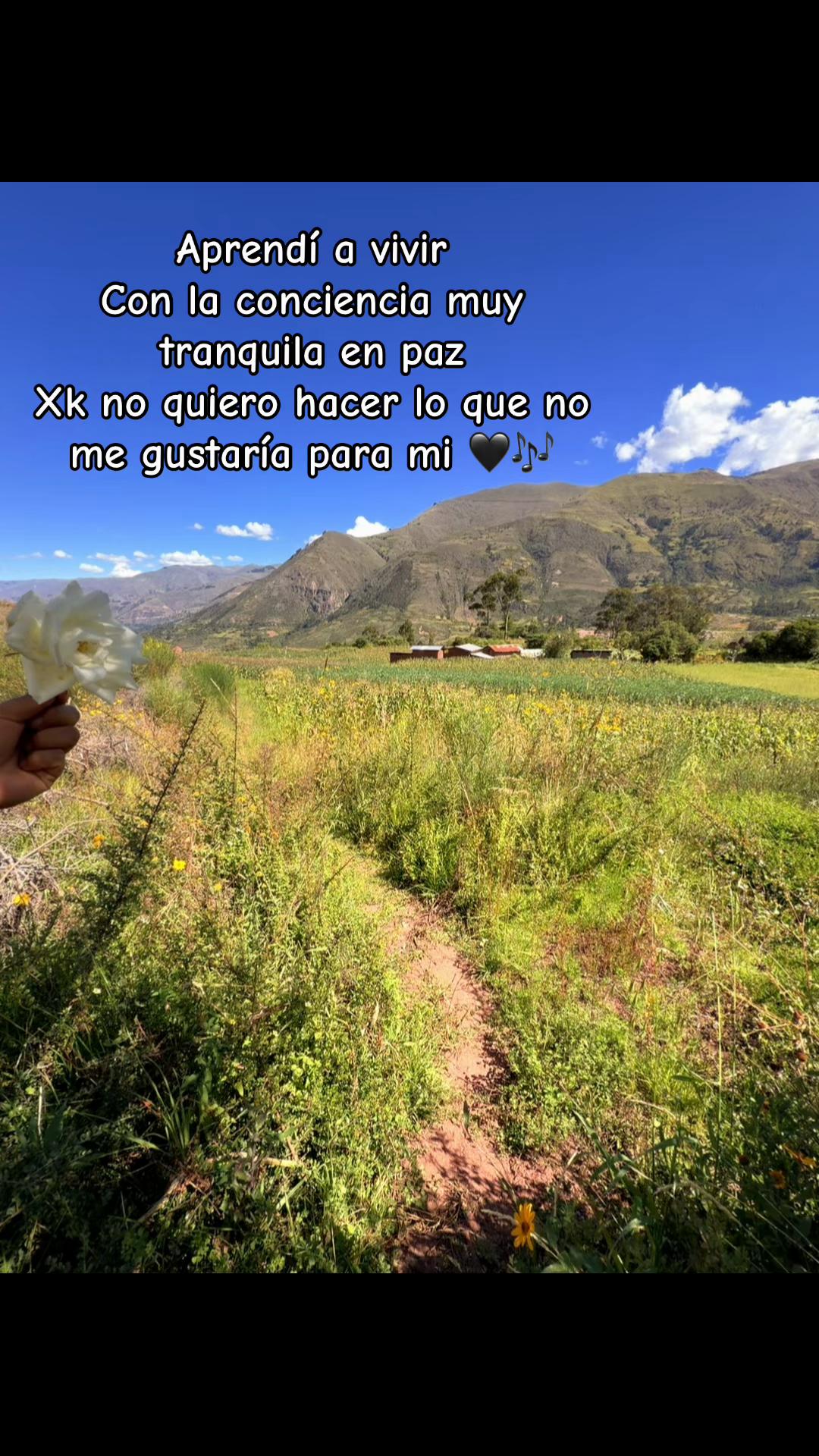 @fiorella marquina🌻