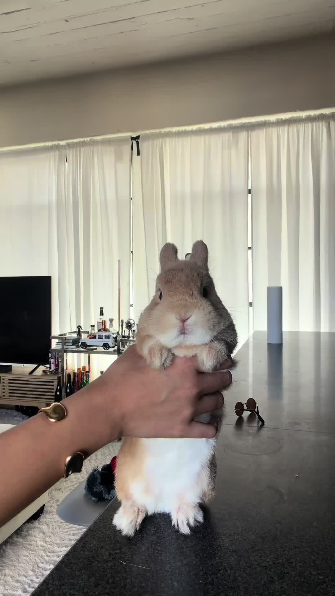 @Bunnydayoff