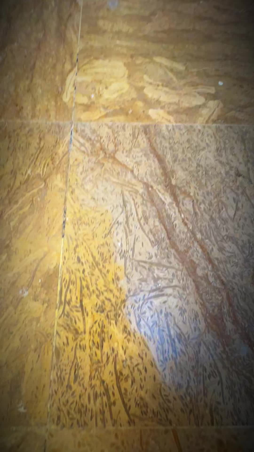 @i&B interior israr Saleem