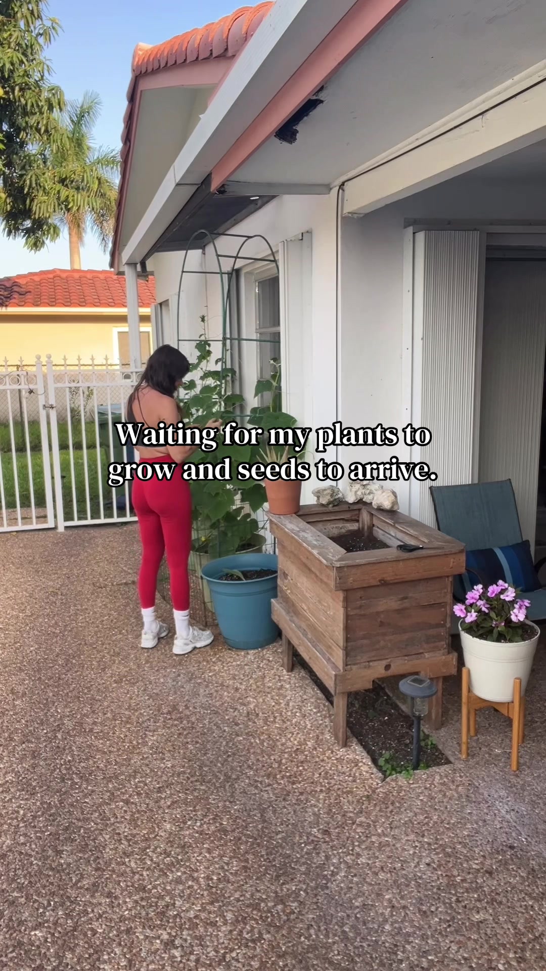 @mary_ketchup