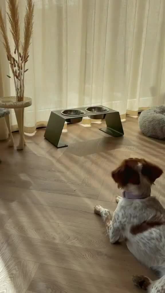 @Luxury Pets - Woefwinkel
