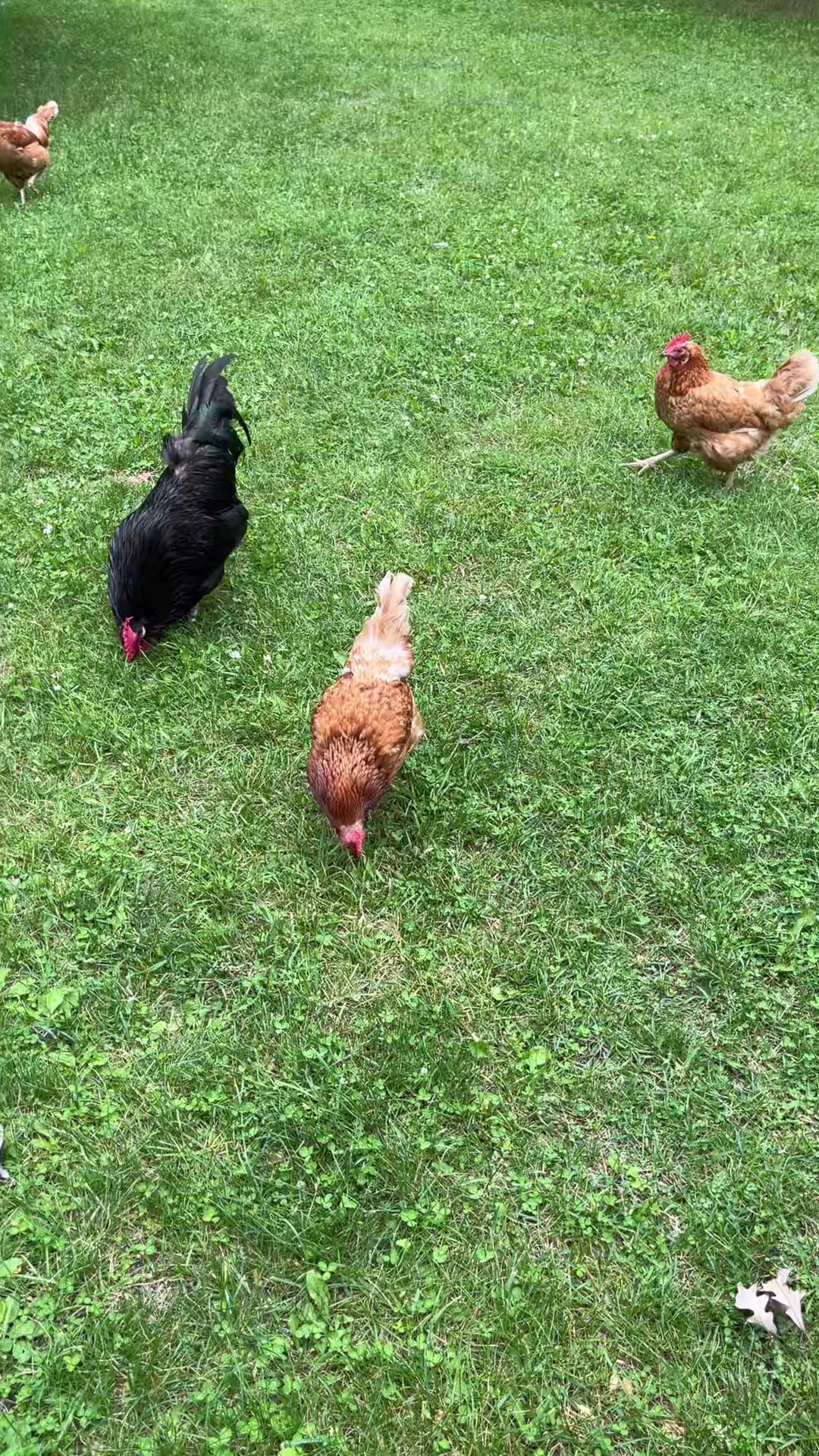 @The Fisher Farm 🇨🇦