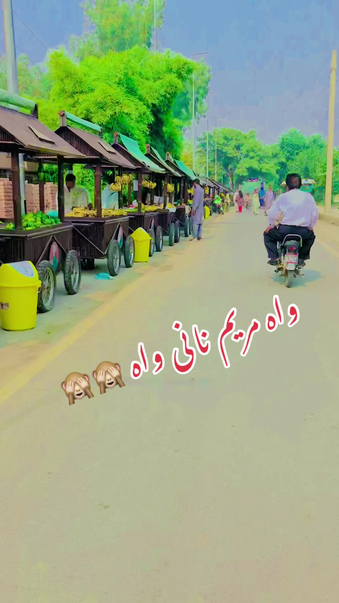 @🌹ملک تنزیل🌹