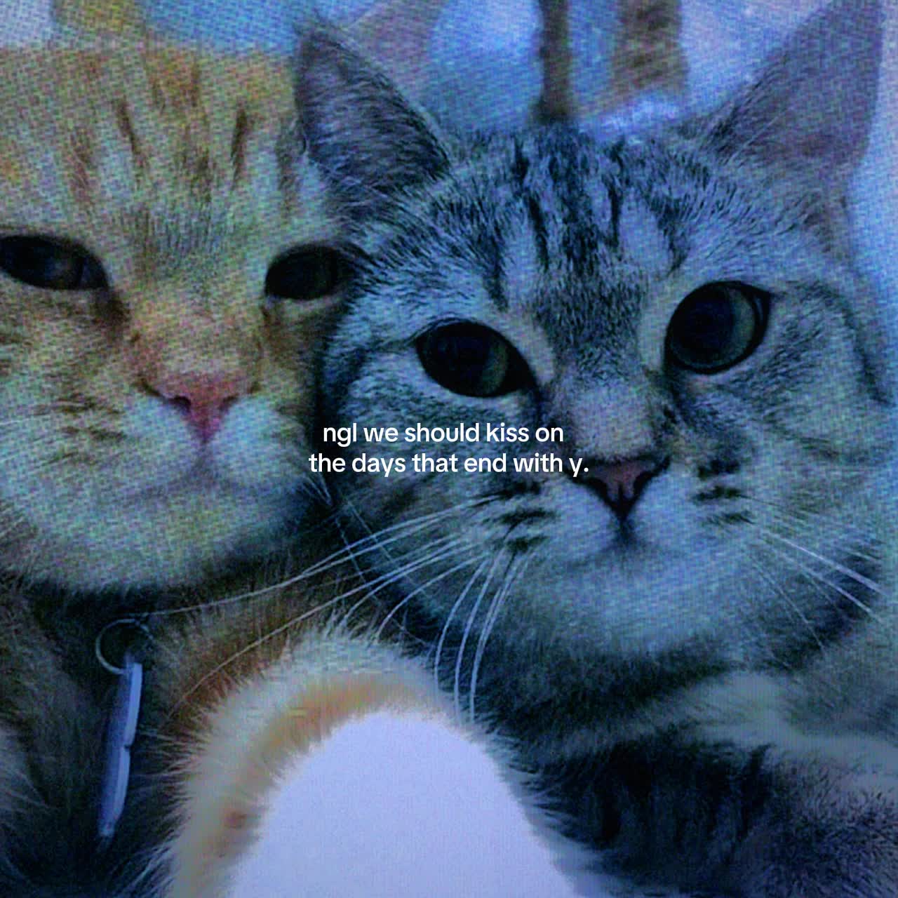 @Spotify: LXNYA
