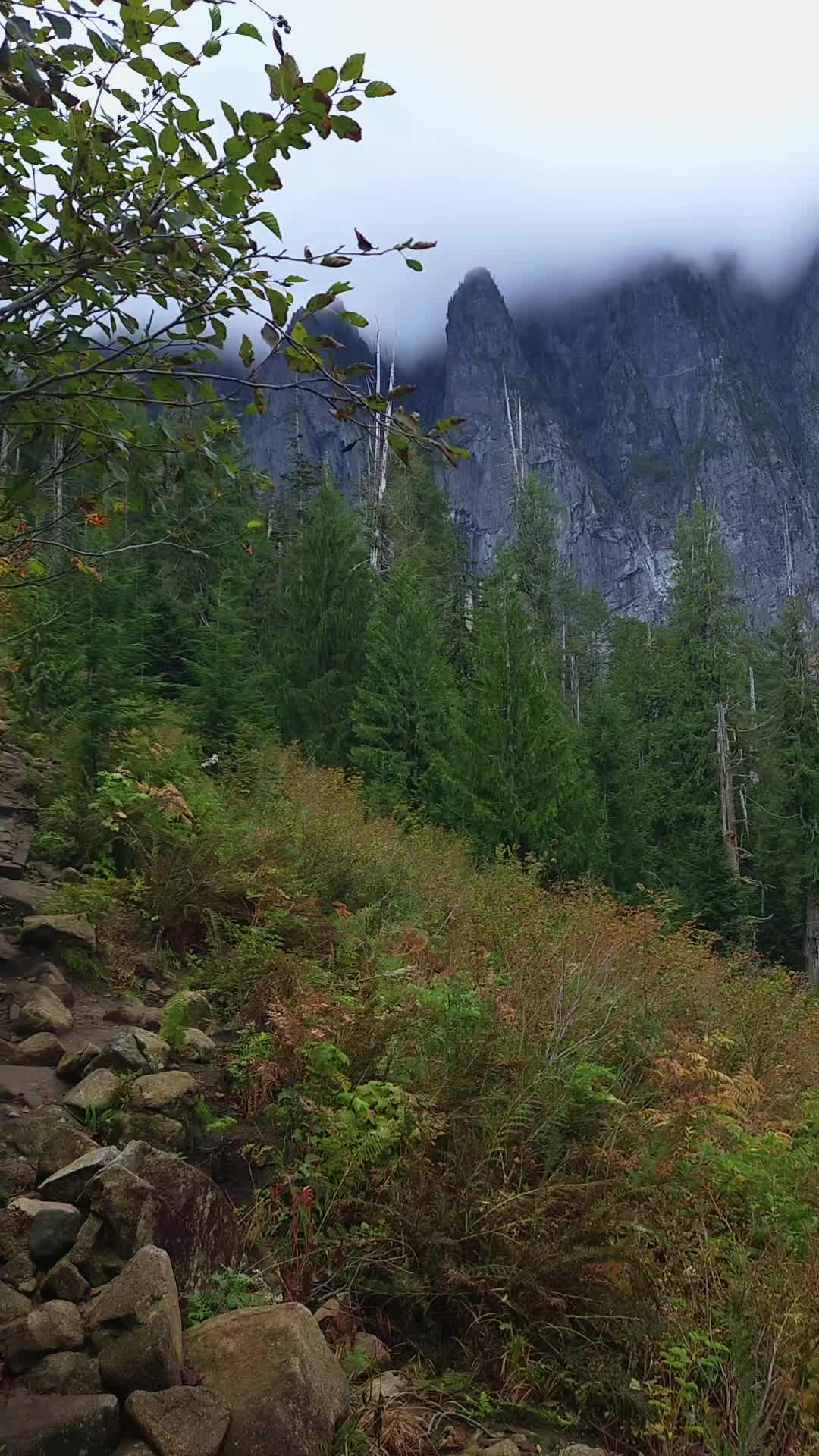 @Nicole🌲🏔🥾|PNW|