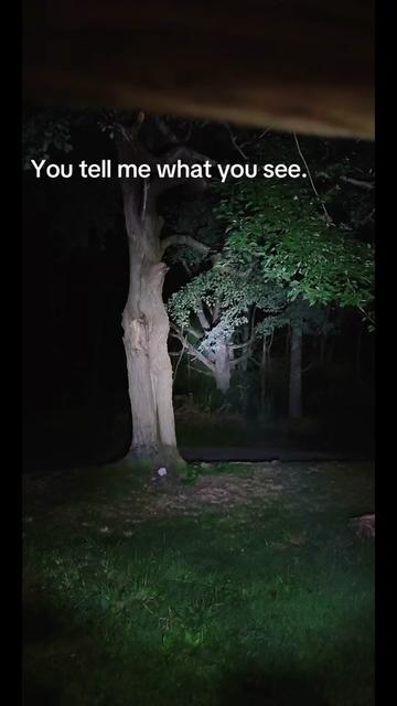 @🕯️✨Porchlight Paranormal✨🕯️