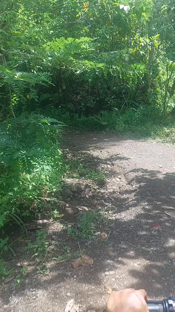 @❤♡&hearts;♡ⁿʸˡʳᵃᵐ♡&hearts;♡❤