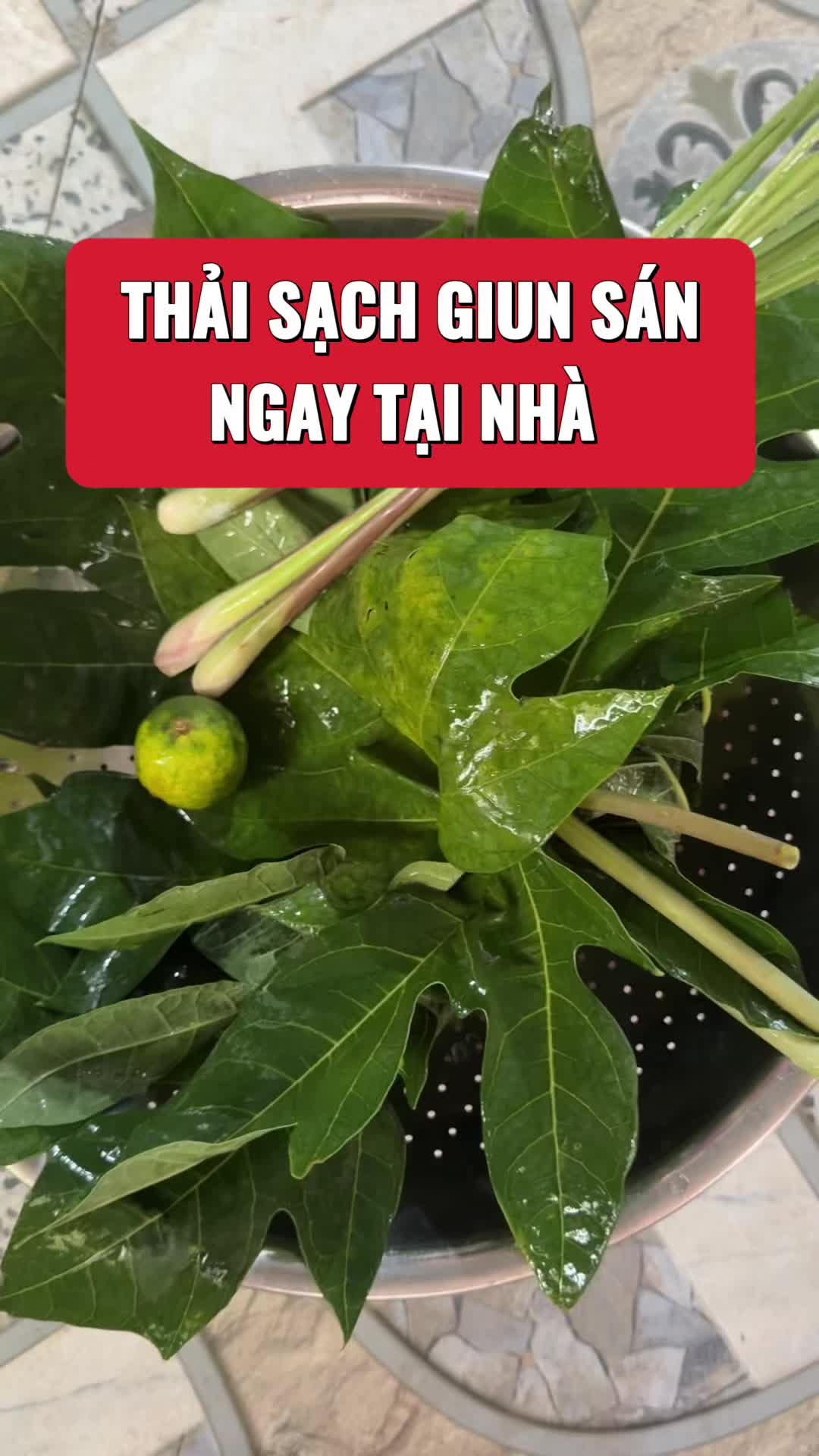 @suckhoevang98