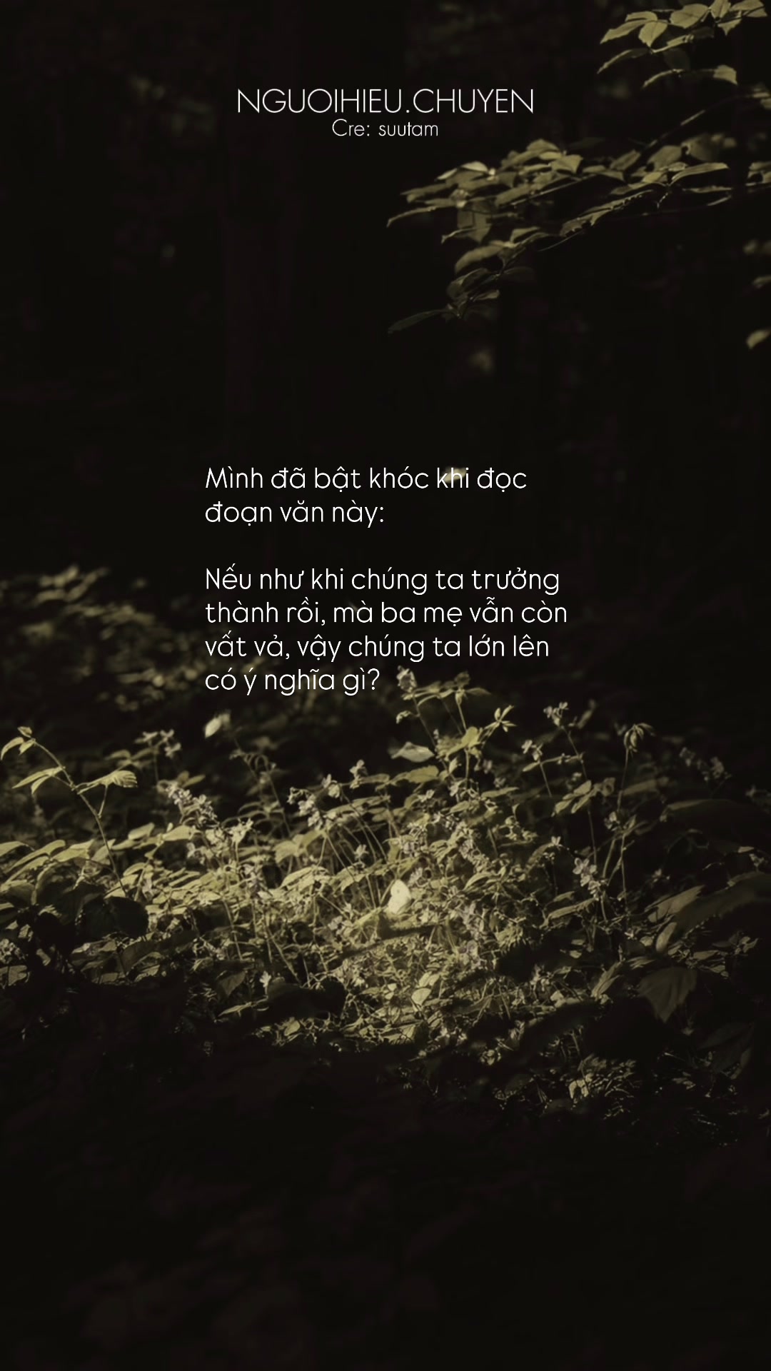 @Người Hiểu Chuyện