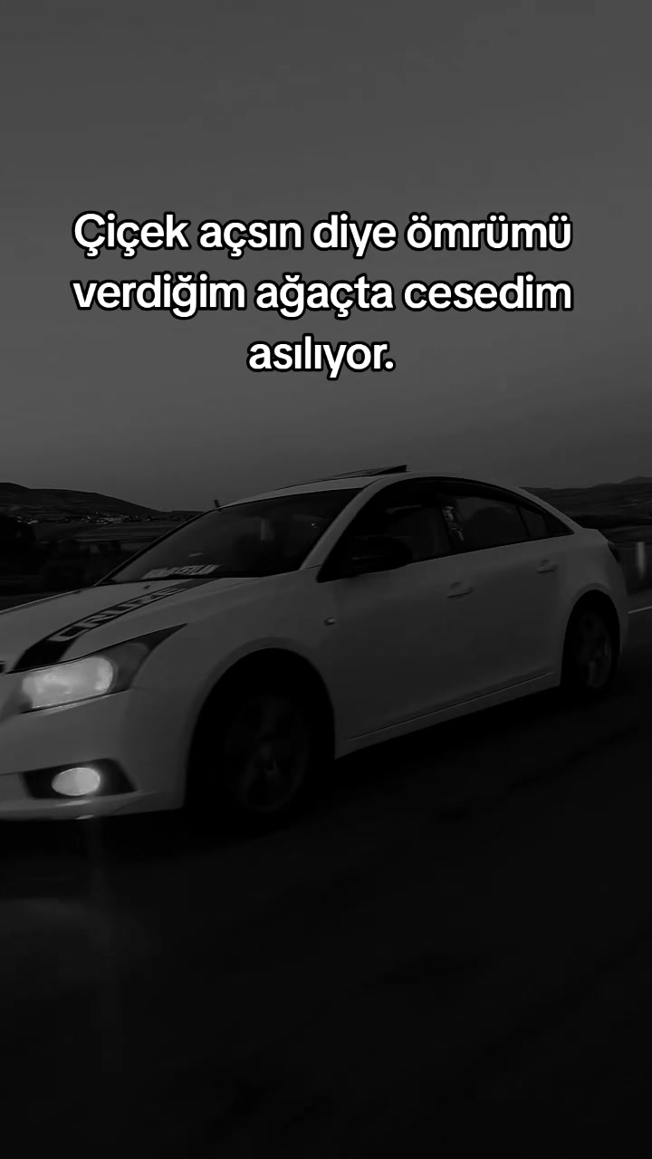 @Namık Cyln