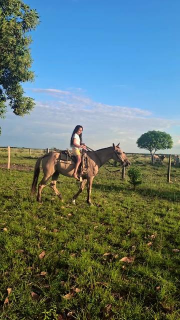@Yoli Aguilar