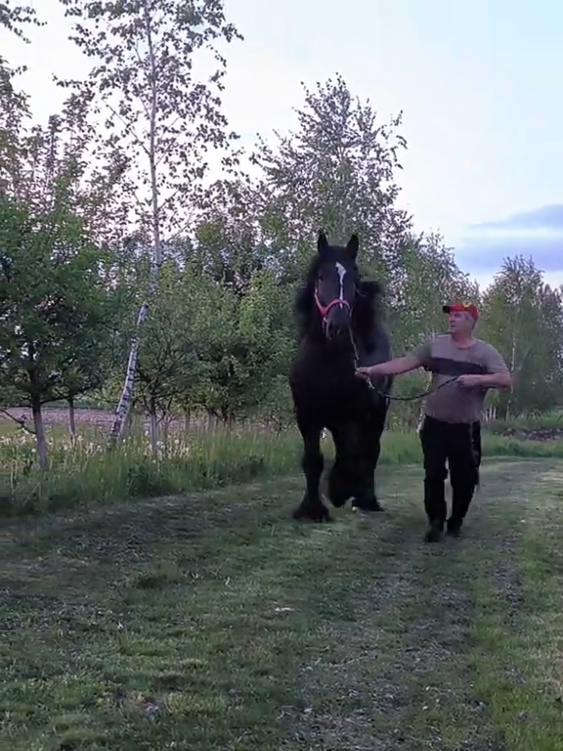 @ВАСЯ БОЙЧУК 🐎