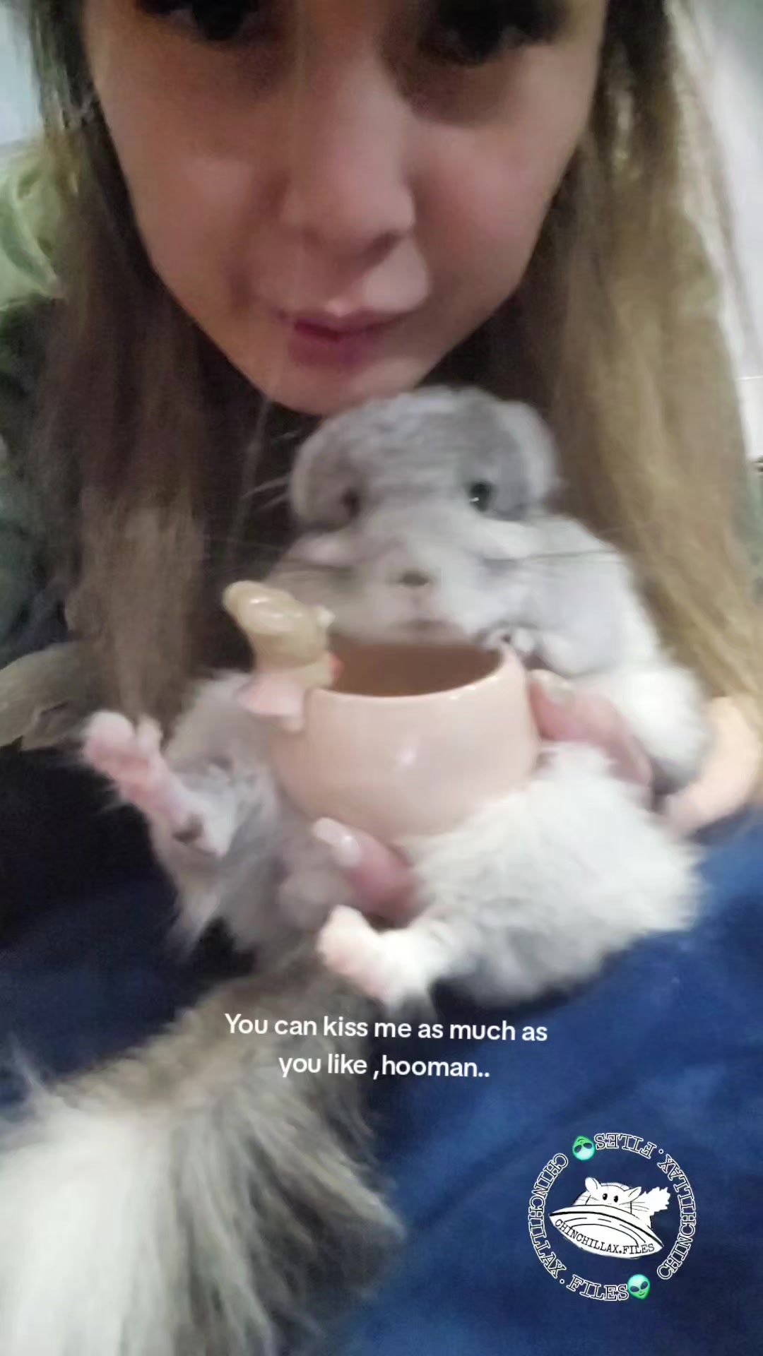 @Kuzco the Chinchilla