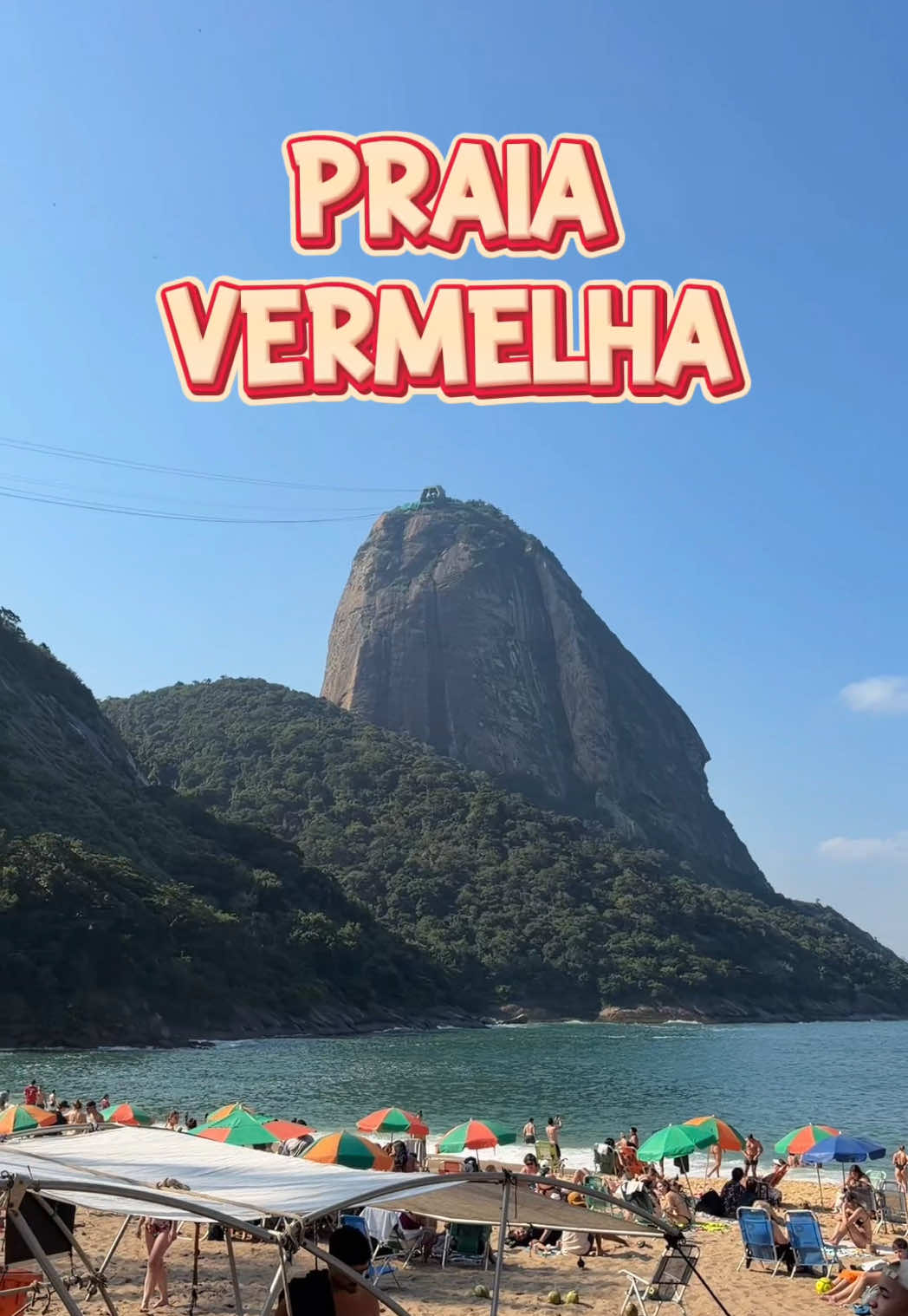 @Majito 🦕