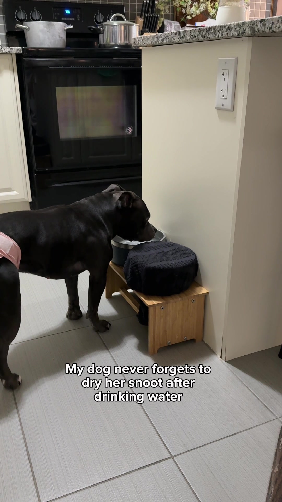 @Luna The Pittie