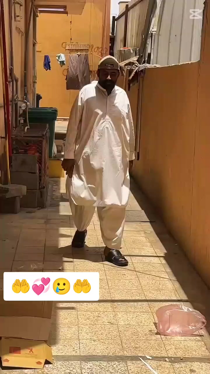 @03060781169❤️📞❤️