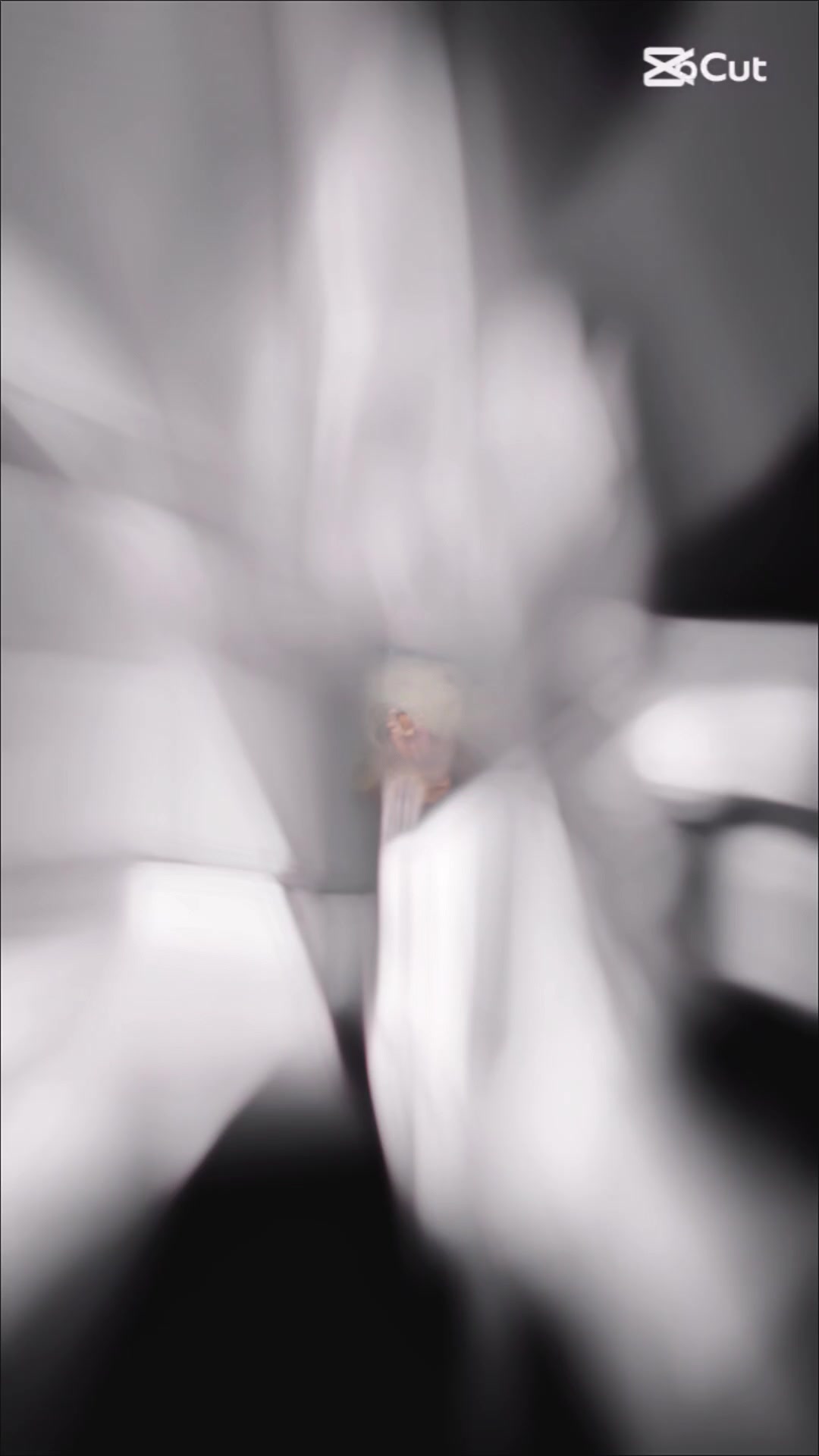 @🥷ŚăŘkÆŘ🥷