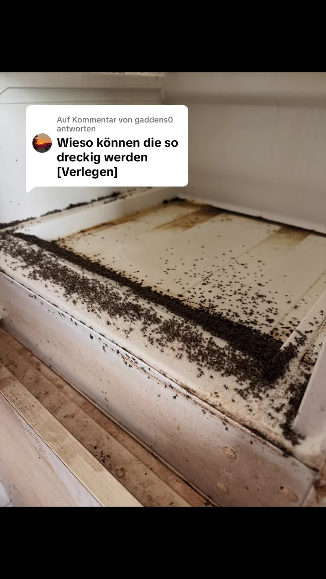 @die_Vanheidens