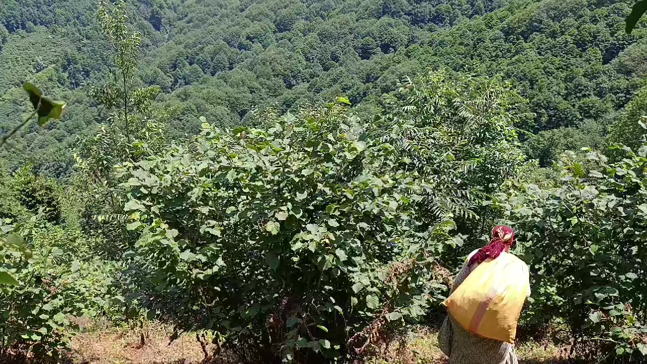 @kardelen kardelen