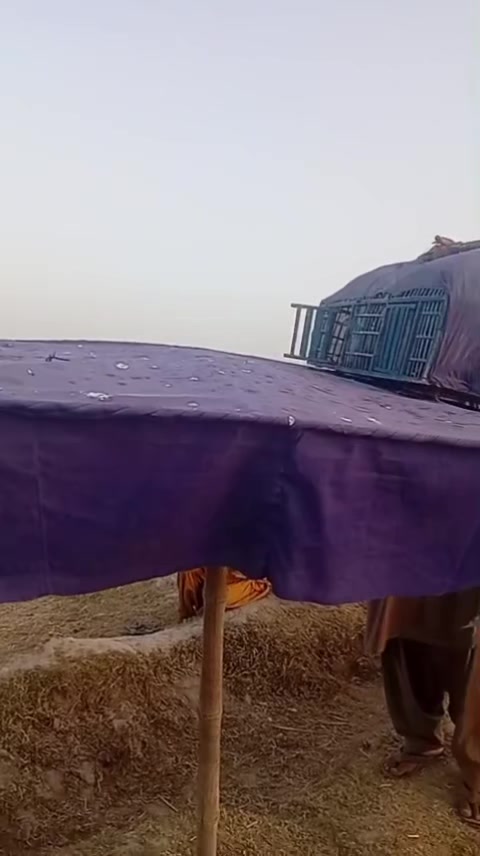 @JAGIRANI