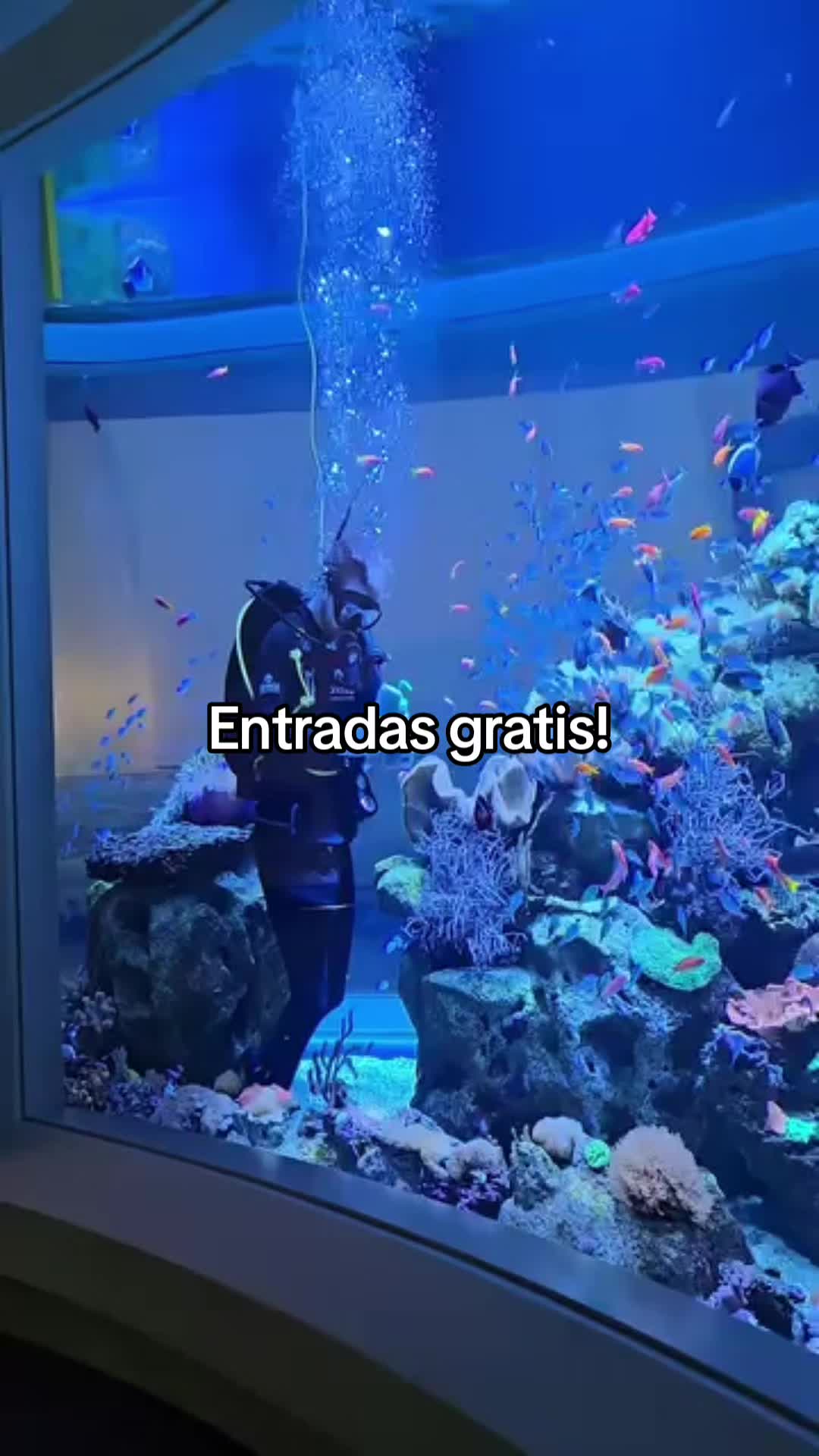 @juliavega376