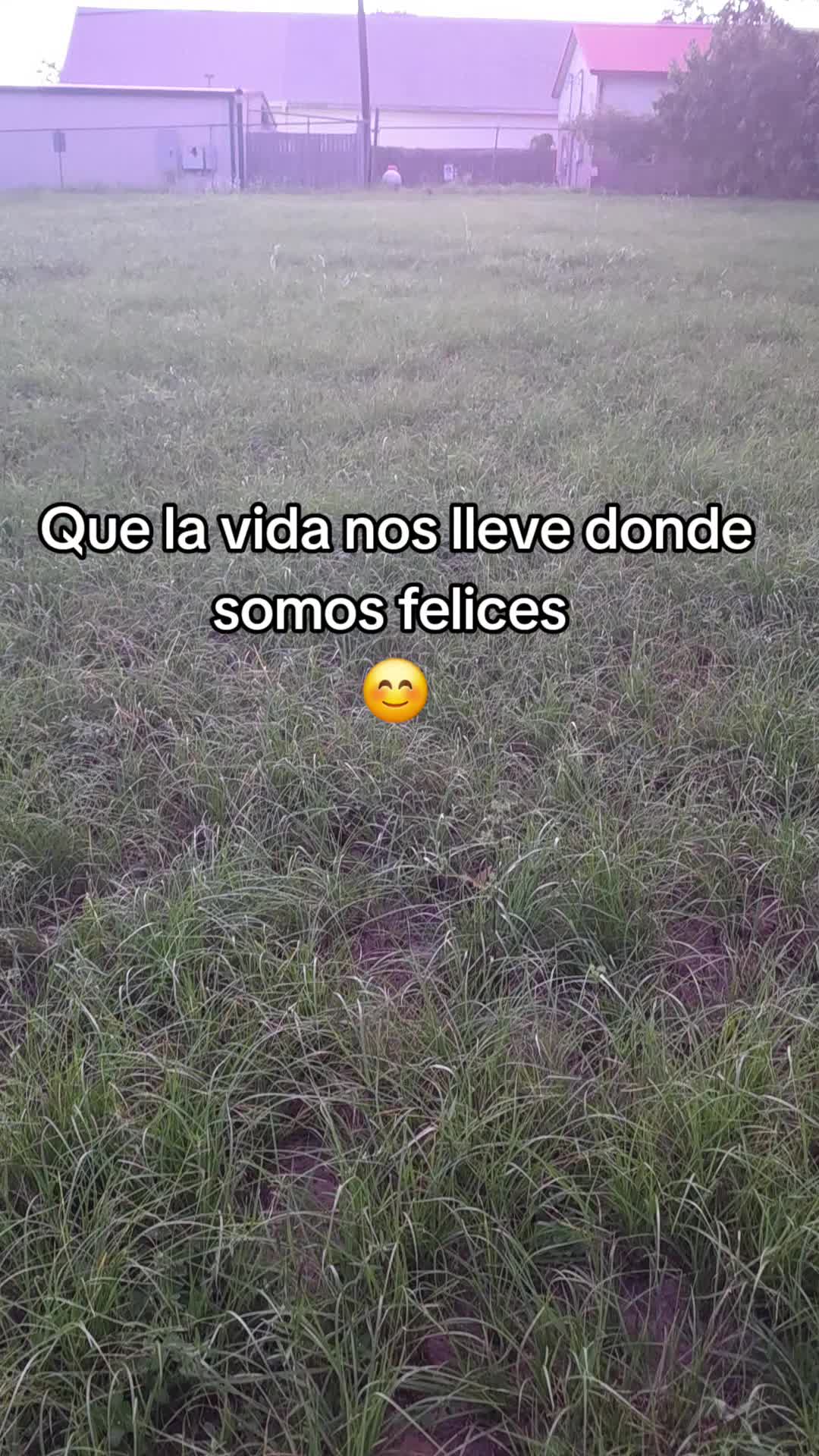 @Juan Abraham