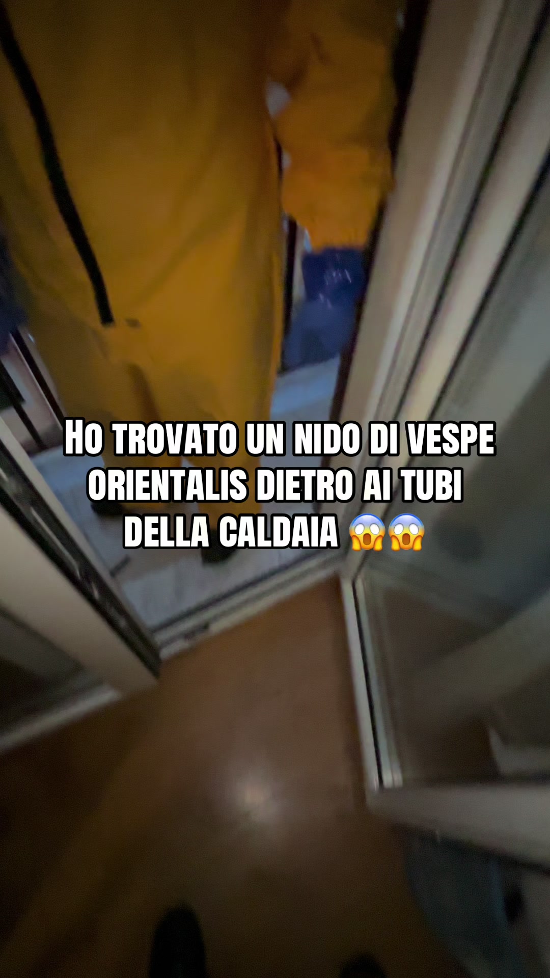 @Salvatore LS disinfestazioni