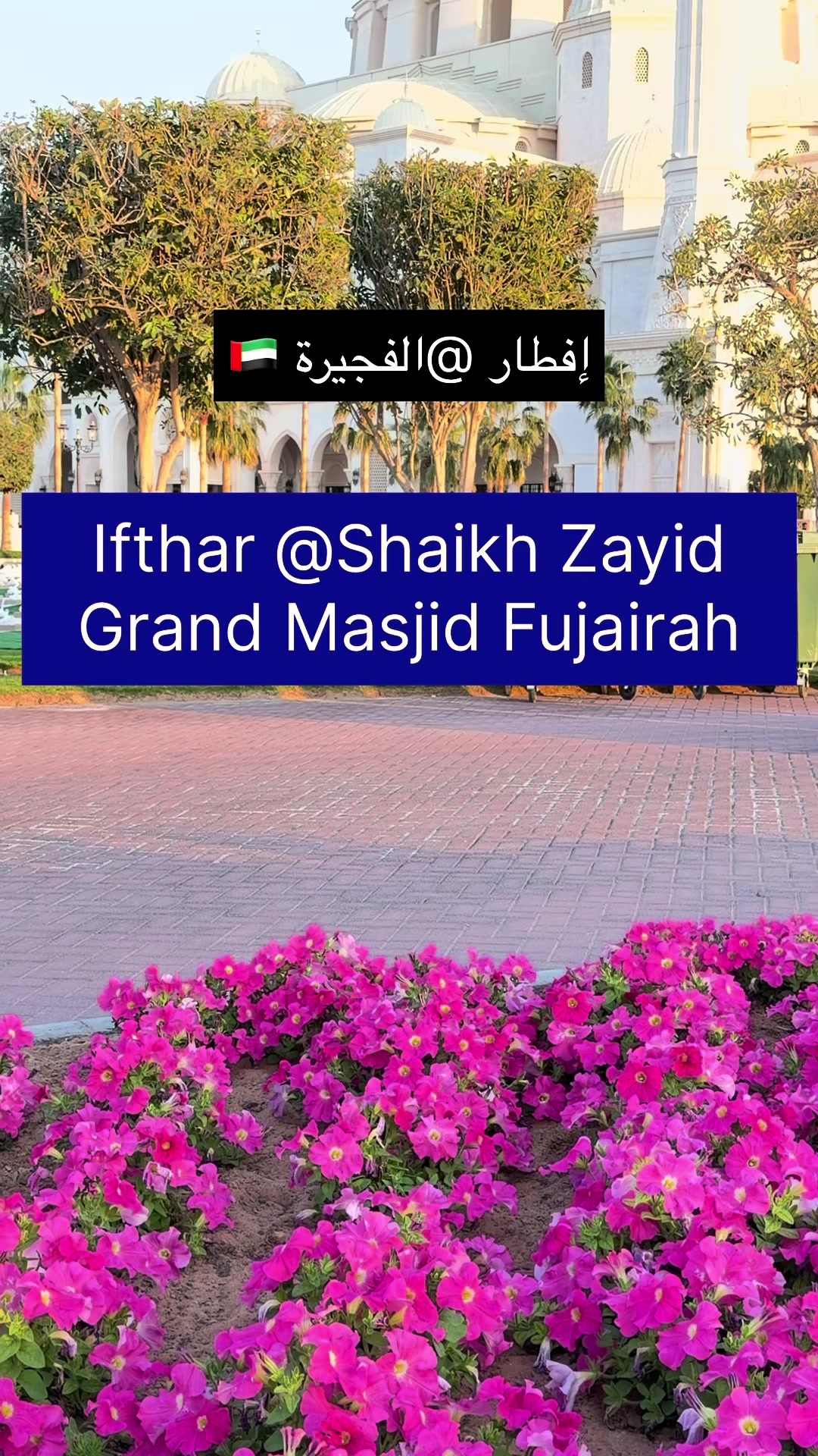 @Fujairah Lovers