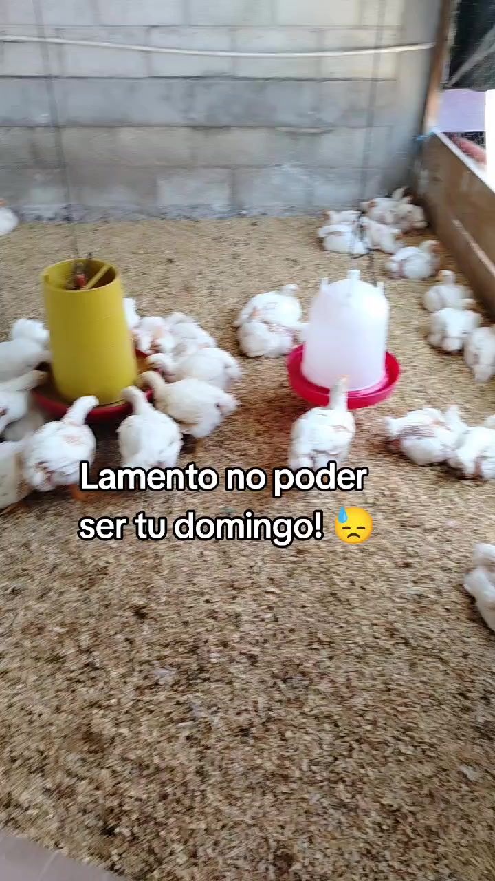 @ElyAlonzo