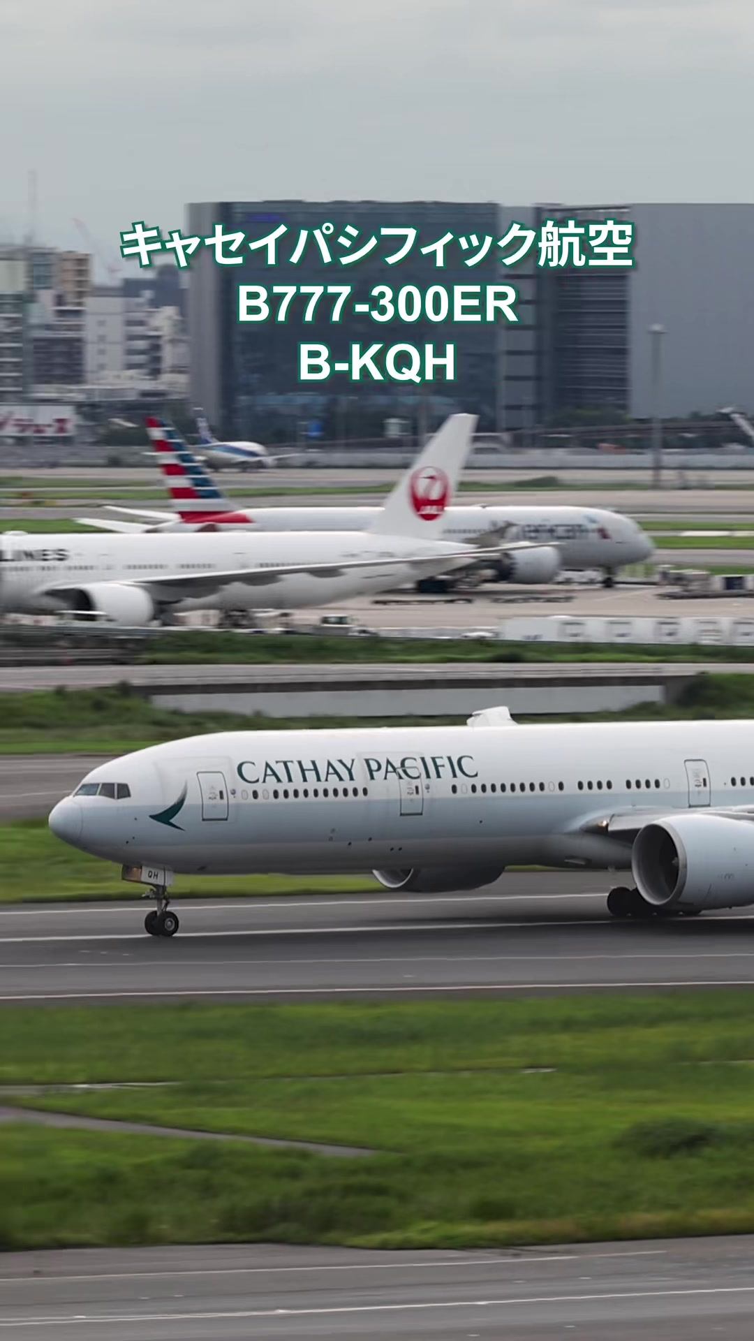 @Skyline だ〜はね|Haneda Airport ✈️