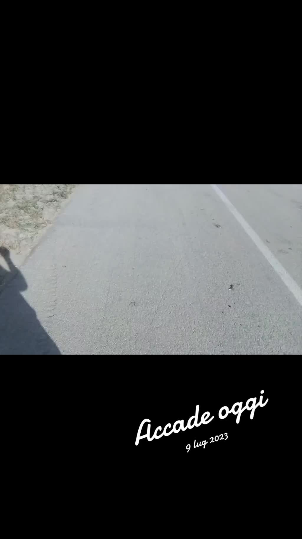 @angelococco370