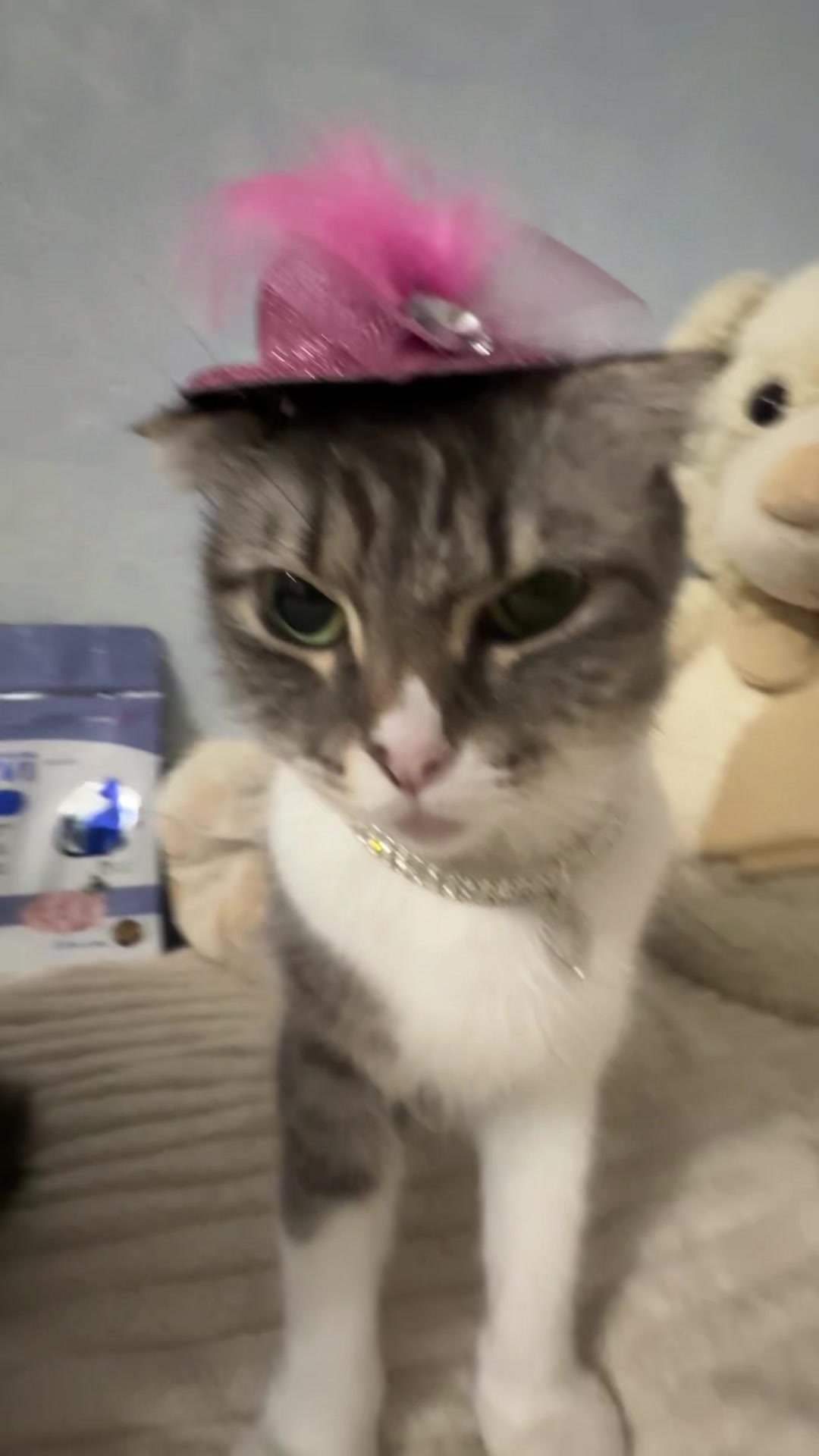 @Chloe 𝜗𝜚 Freya