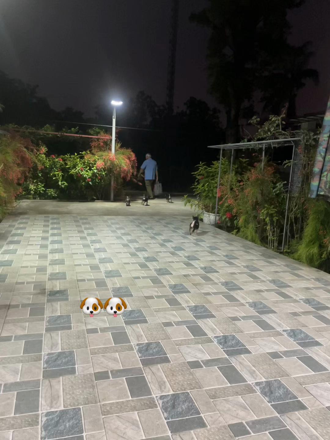 @Miichaan Japan