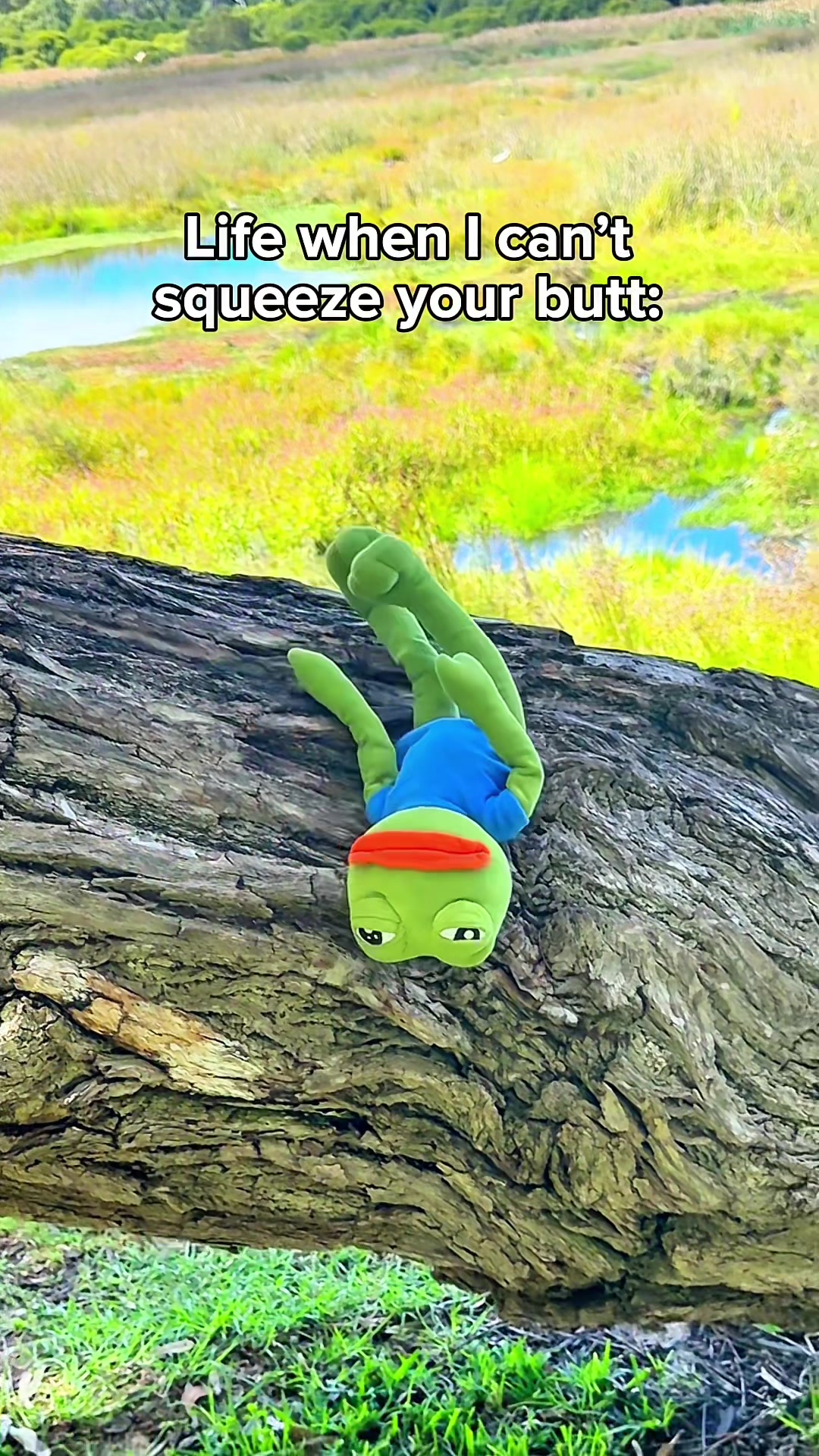@AdoptAPepe