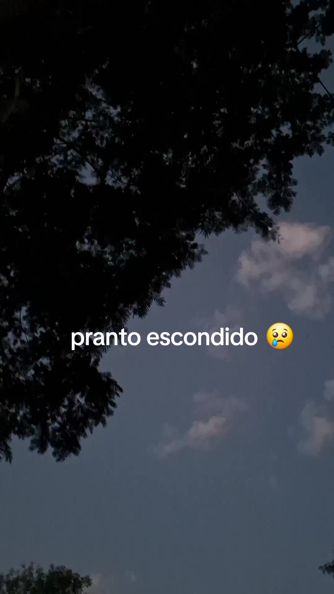 @ronilda