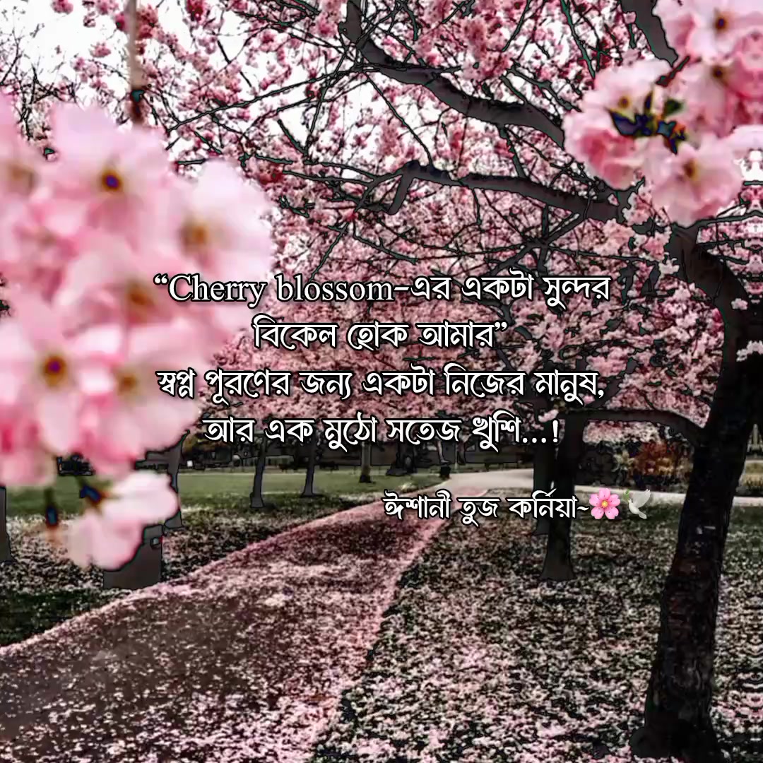 @ᥫ᭡𓂃 𝑴𝒓𝒔 𝑱𝒂𝒚𝒂𝒏!?