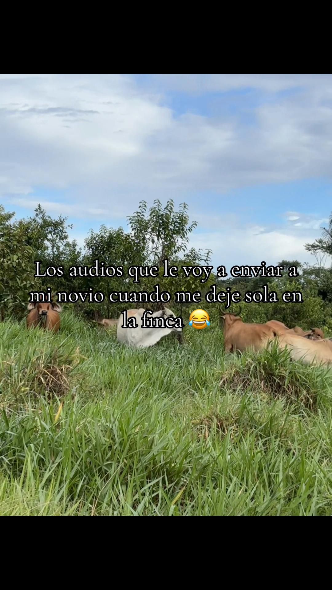 @Paola🌸