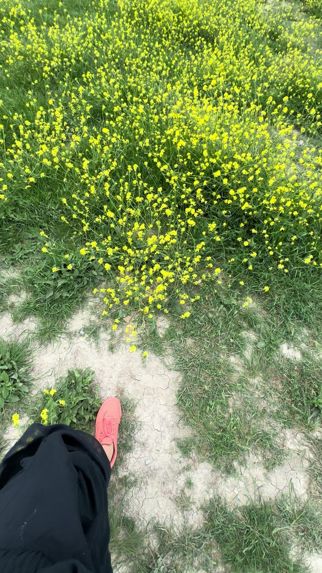 @Виктория