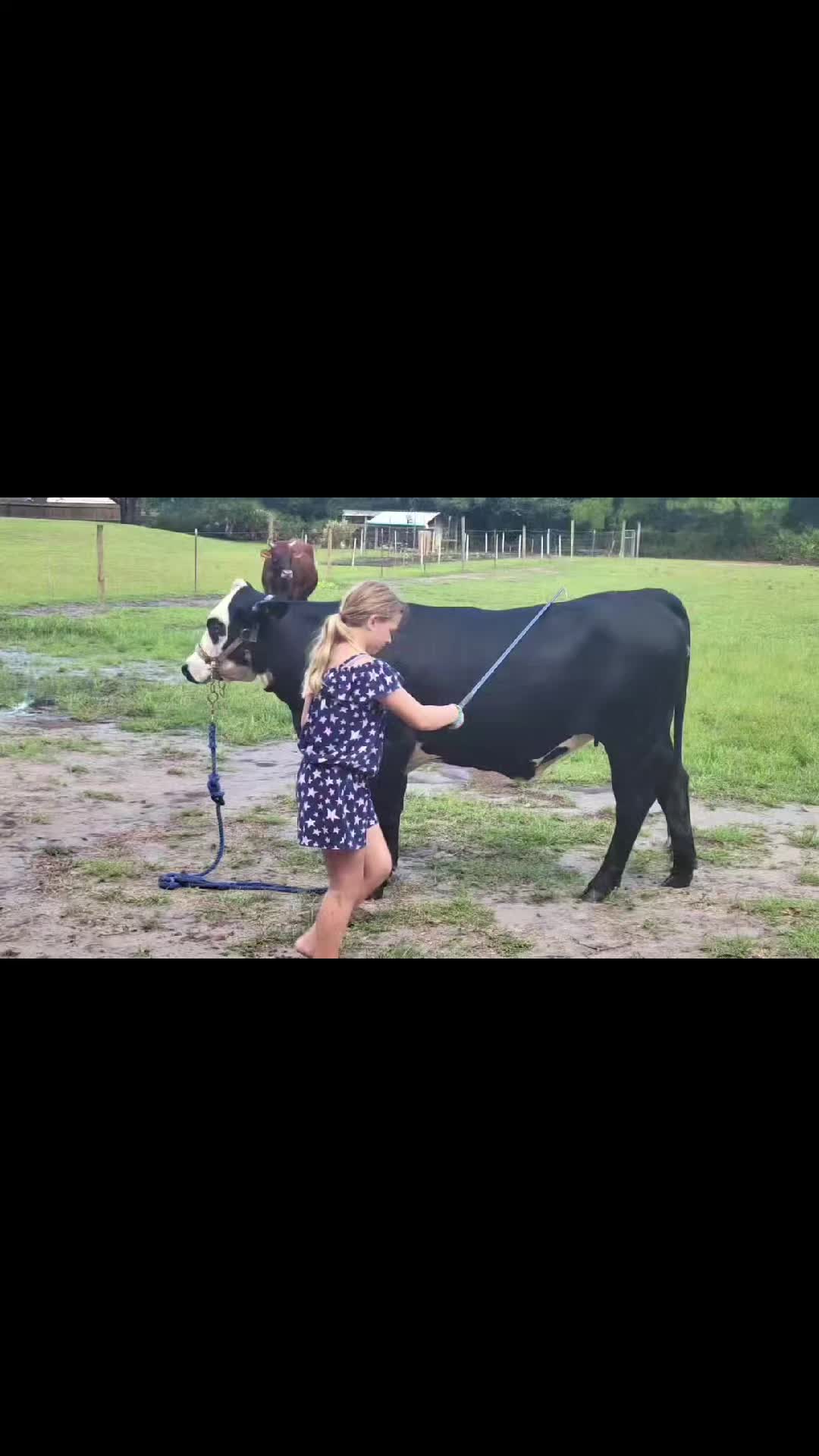 @Fldeerhunter93#2