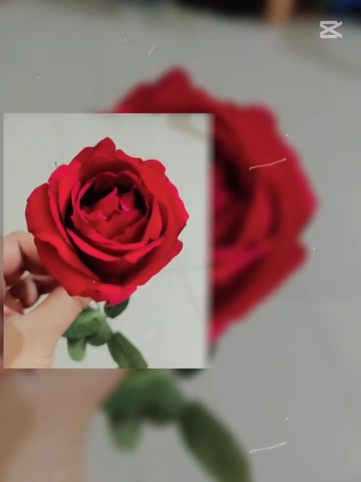 @user72391178949