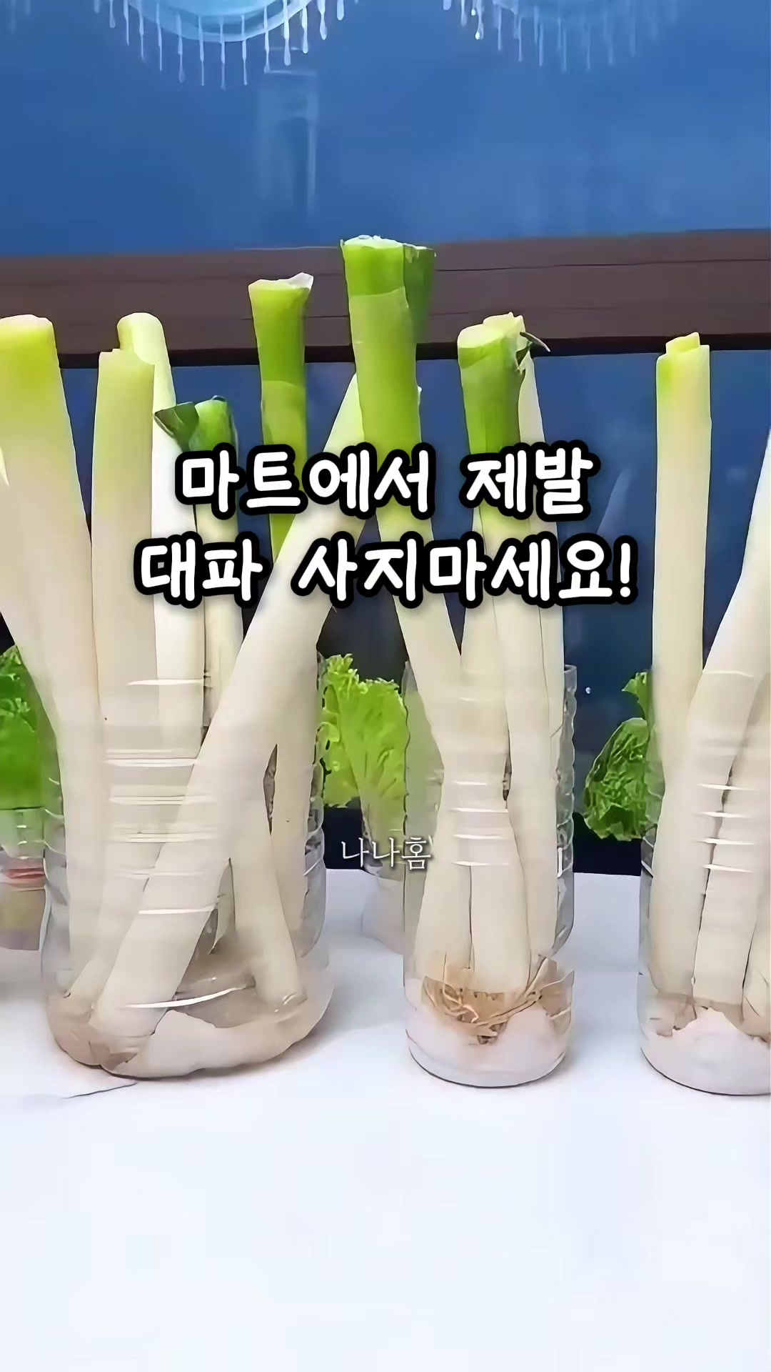 @나나홈