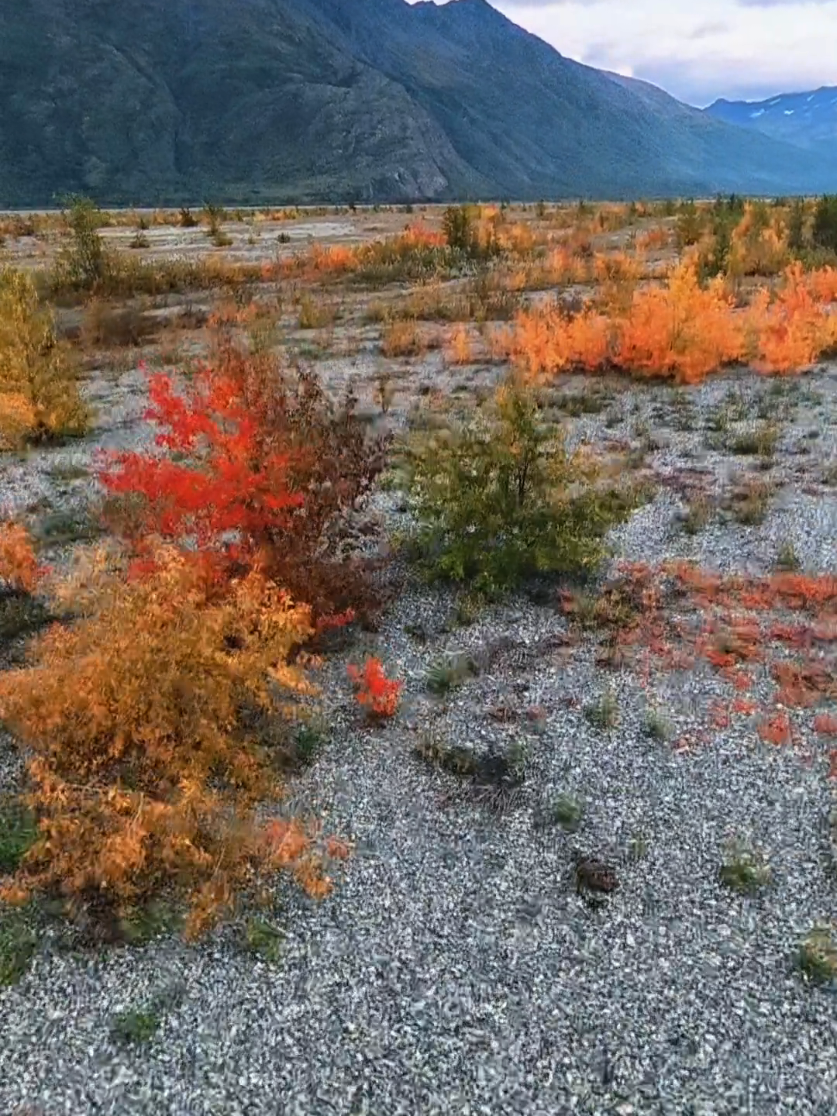 @My Heart Beats Alaska