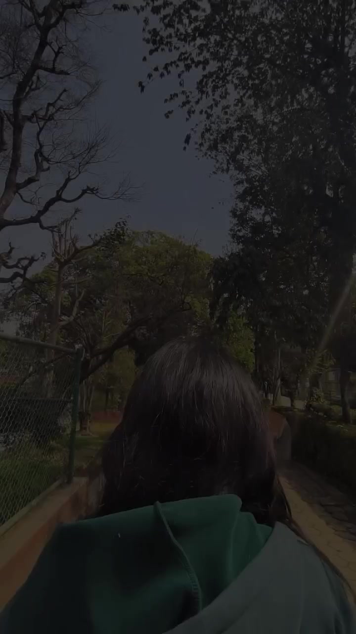 @🕷️