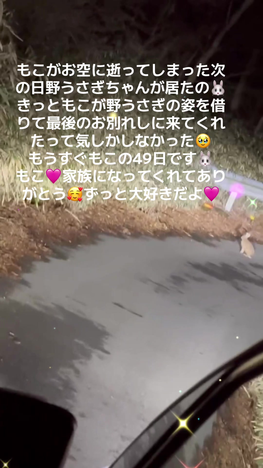 @🐖🧅ちぃ（マロン）🌰🐰🍍