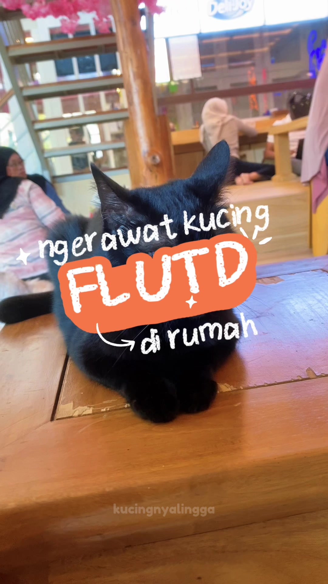 @kucingnyalingga🍉
